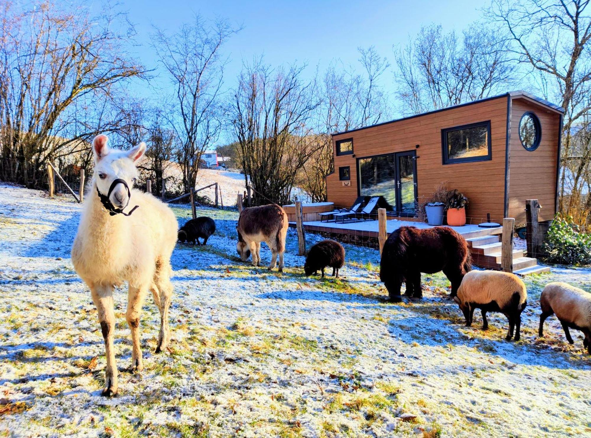 La Mini Maison Du Lama 리빈 외부 사진
